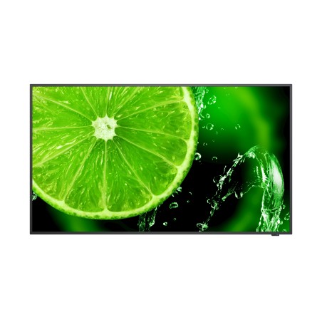 "SharpNEC MultiSync E558 - High-Performance 55-Inch 4K Display (60005054)"